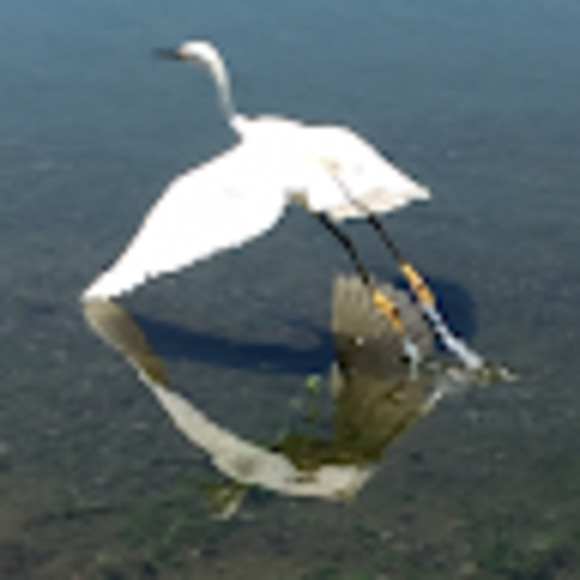 Meet your Posher, Daniel - Picture 1 of 1